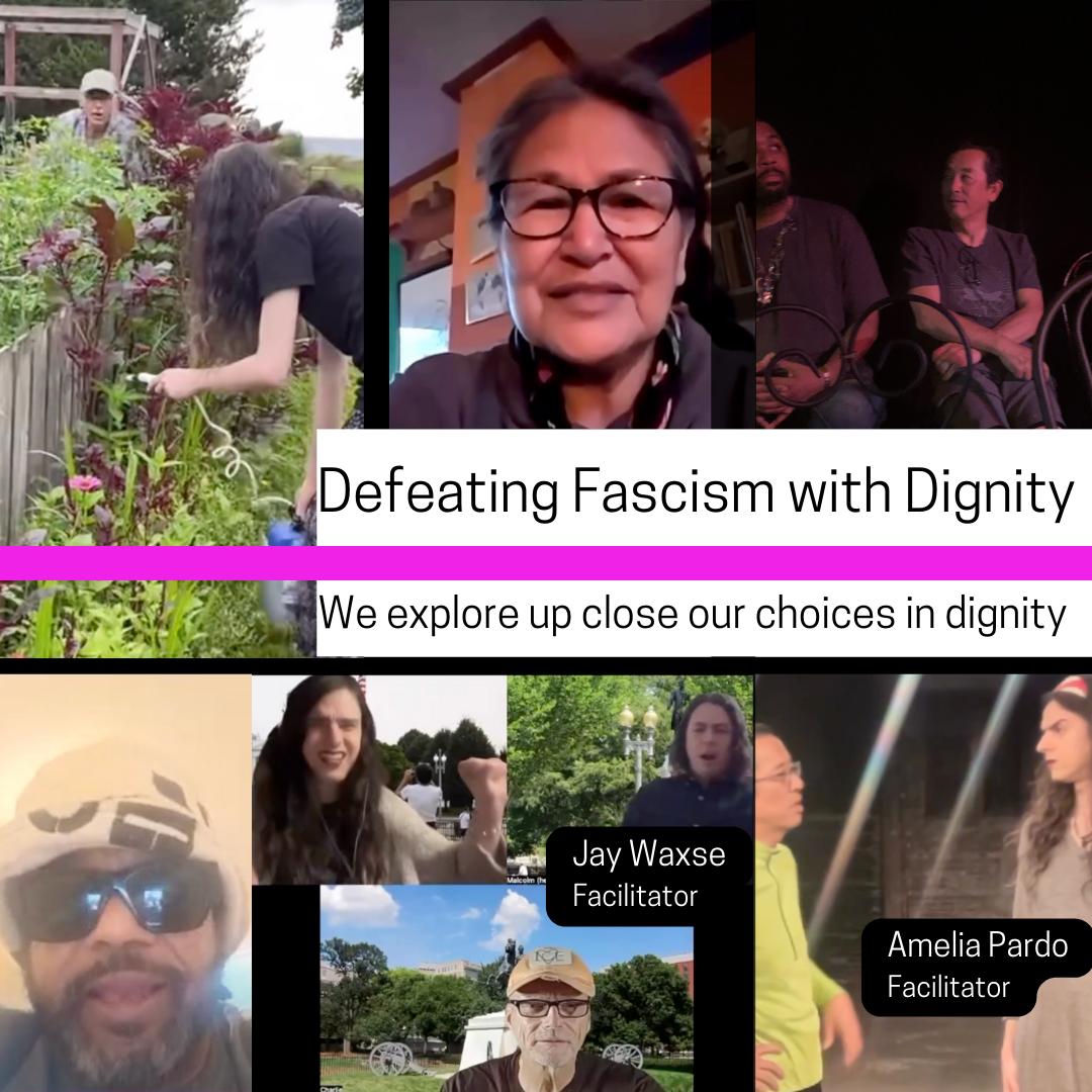 Stewardships: Defeating Fascism with Dignity Learn-In